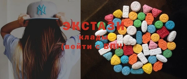 индика Алексин