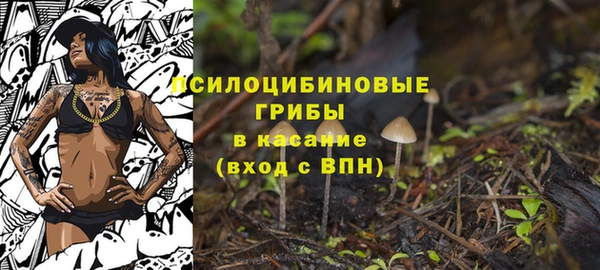 молекула духа Алексеевка