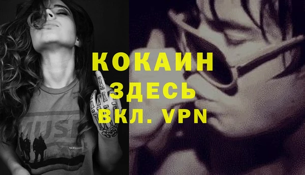 индика Алексин