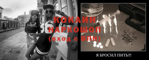 стафф Ростов