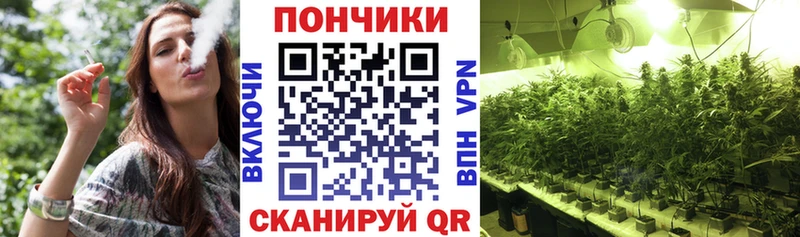 OMG   Красково  Марихуана MAZAR 